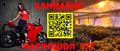 шишки Славянск-на-Кубани