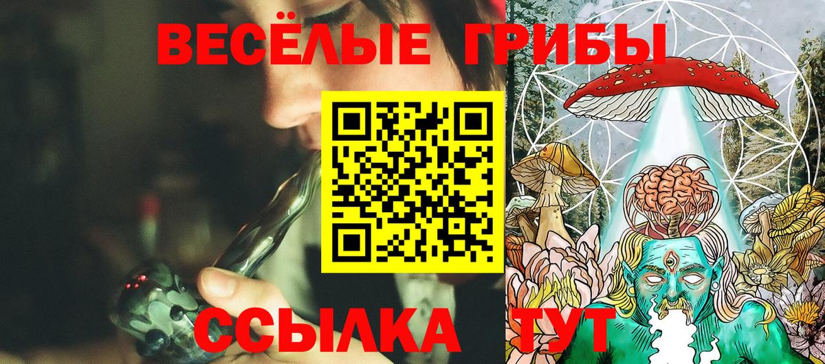 цены   Псилоцибиновые грибы Psilocybe  Вход с VPN  Пугачёв 
