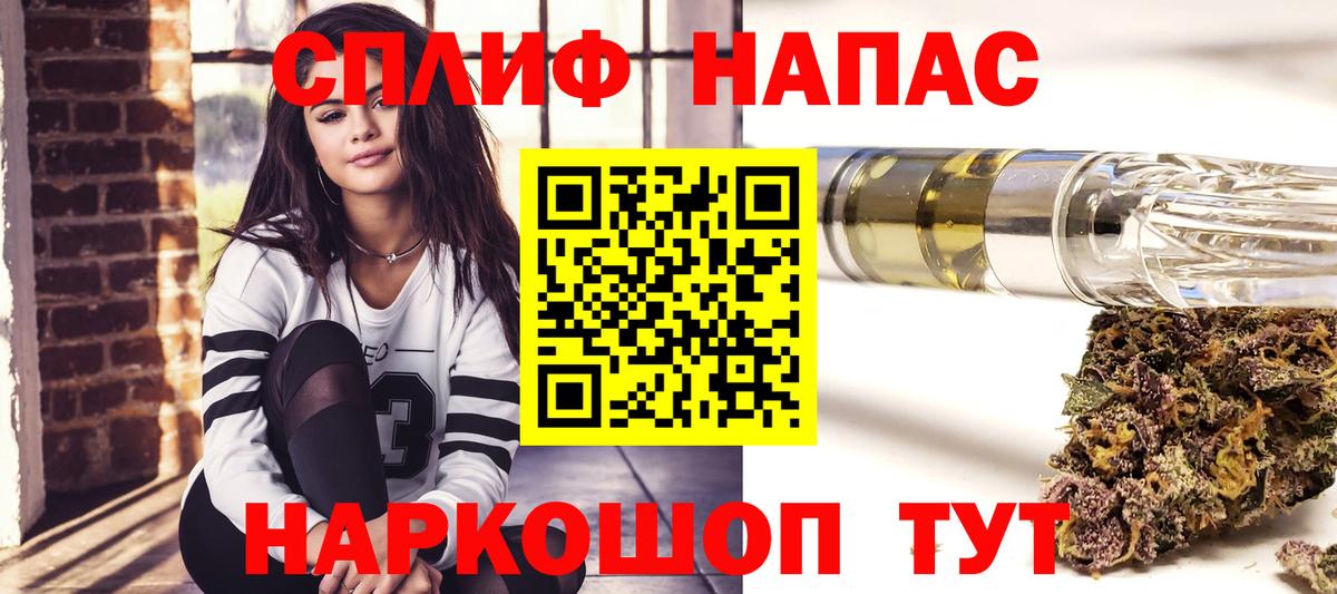Пугачёв  Конопля гибрид  Вход с VPN  Бошки Шишки Ganja  Канабис сатива 